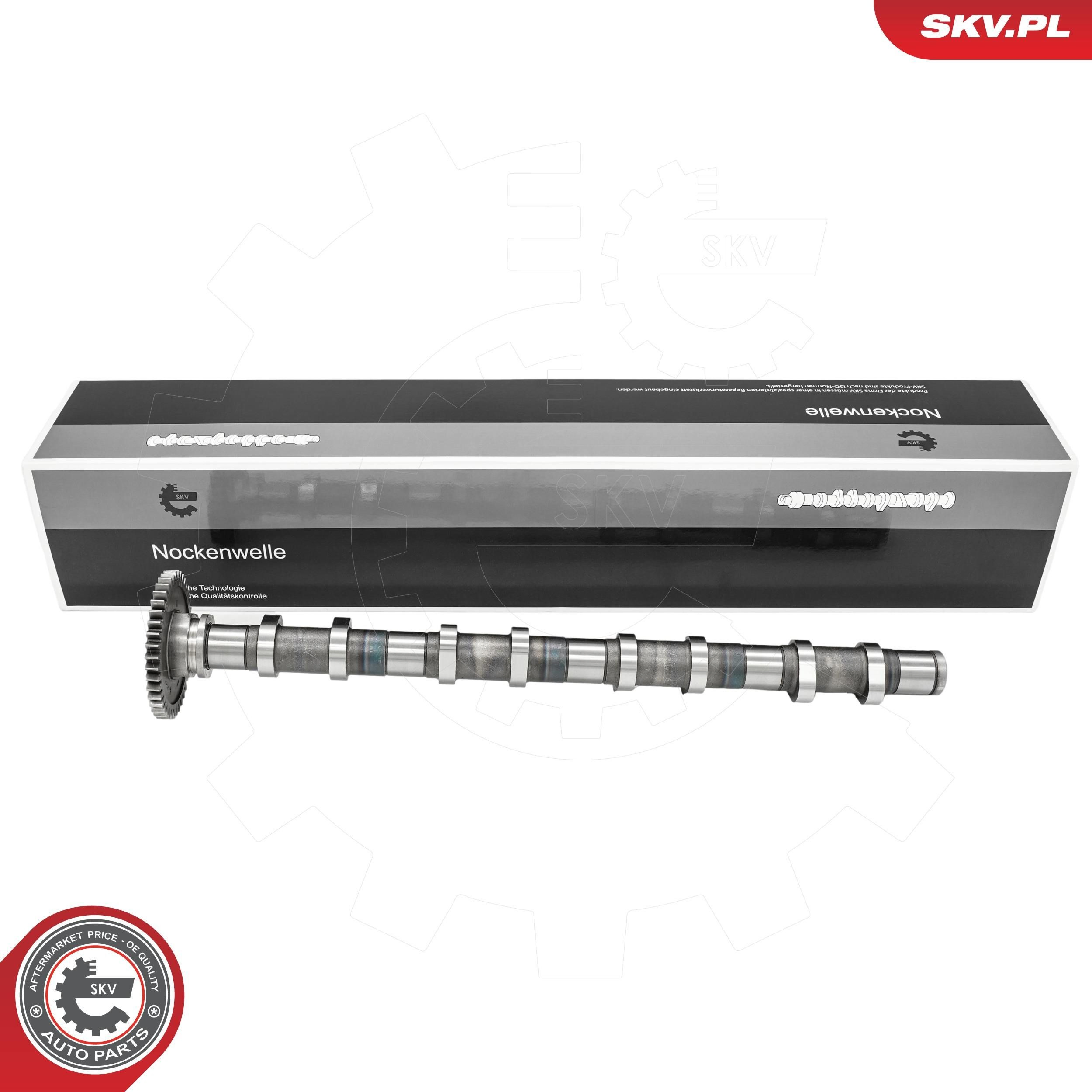 80SKV013 SKV